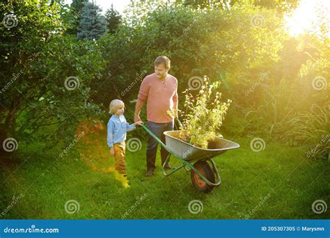 Giardiniere E Bambino Che Spinge La Carriola Con Piantine Di Piante Nel