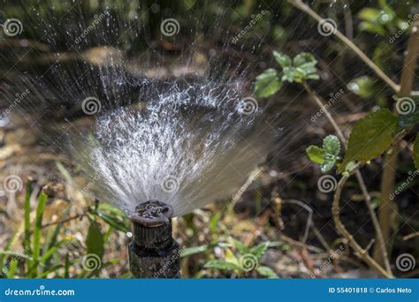 Garden Automatic Irrigation System Bubbler Watering Flowerbed. Stock Photo - Image: 55401818