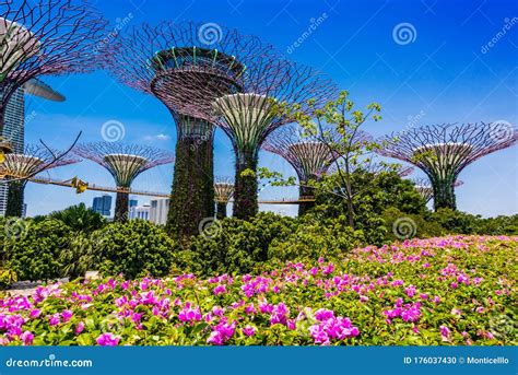 Gardens By The Bay Nature Park In Singapore Editorial Image Image Of