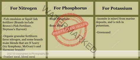 How To Read A Fertilizer Label Plumeria Today