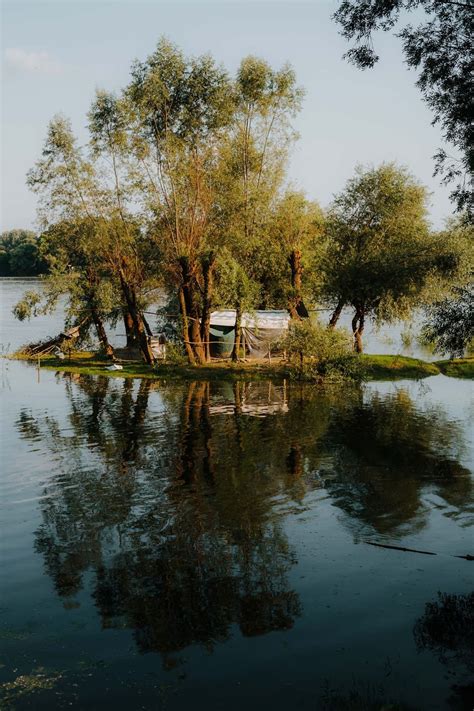 Imagen gratis orilla del río barco por el río madera barco bosque