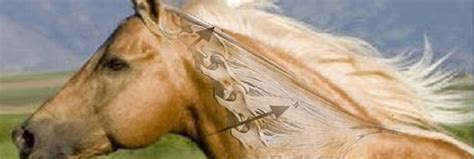 The Disturbing Truth About Neck Threadworms And Your Itchy Horse The