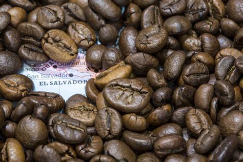 The 5 Best El Salvador Coffee Brands (Plus Buying Tips!) - DrinkStack