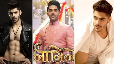 Naagin 6 Simba Nagpal To Be Seen In A Double Role [exclusive]