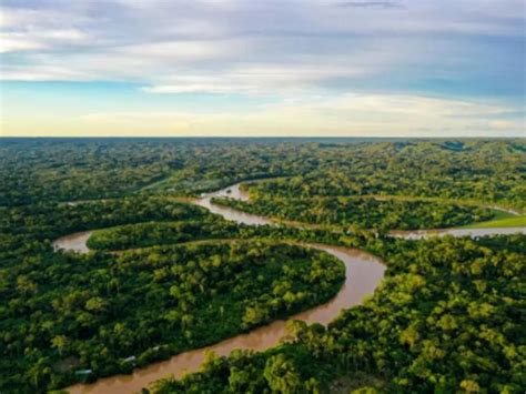 Colombia trabaja con comunidades en un plan para contener deforestación