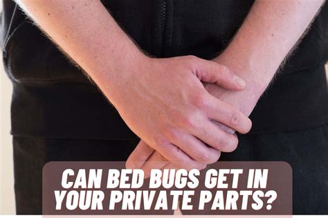 Can Bed Bugs Get In Your Private Parts Guide Vatnex