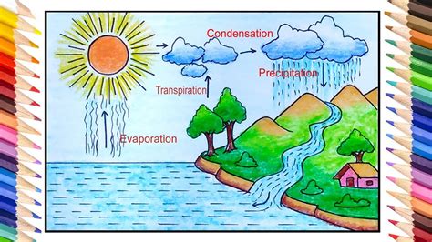 Water Cycle Diagram For Class 3 With Explanation Eco Time Ed