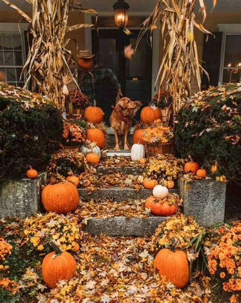 Colorful Farmhouse Fall Porch Steps Fall Outdoor Decor Fall Decorations