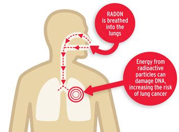 Radon Gas Lung Cancer