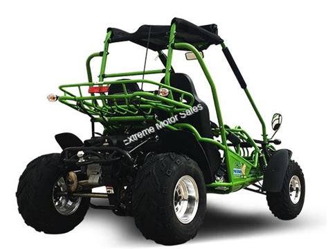 Trailmaster 200e Xrx Go Cart Go Kart Dune Buggy 200cc Adult Size Adult Extreme Motor Sales Inc