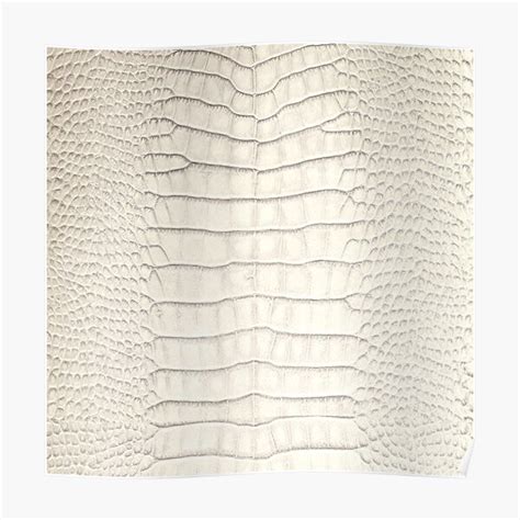 White Alligator Skin Poster By Savesarah Redbubble