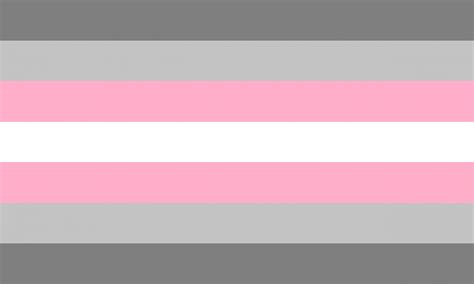 Demigirl Pride Flag Pn0112 Demisexual Flag