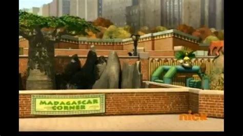 Fossa Habitat | Madagascar Wiki | Fandom