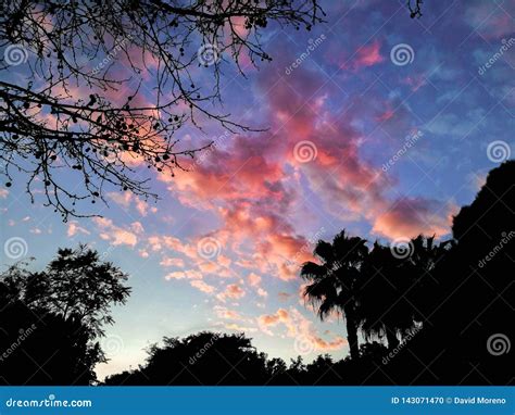 Cielo Drammatico Al Tramonto Di Estate Fotografia Stock Immagine Di Nubi Colorato 143071470