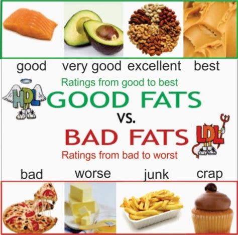 Fats | Healthy Fats and Unhealthy Fats | PMF IAS UPSC