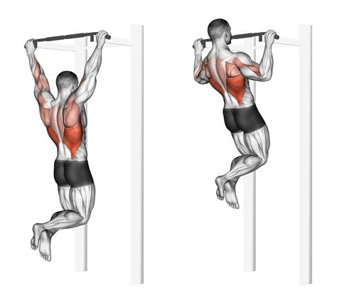 Best Upper Body Pull Exercises With Pictures Inspire Us