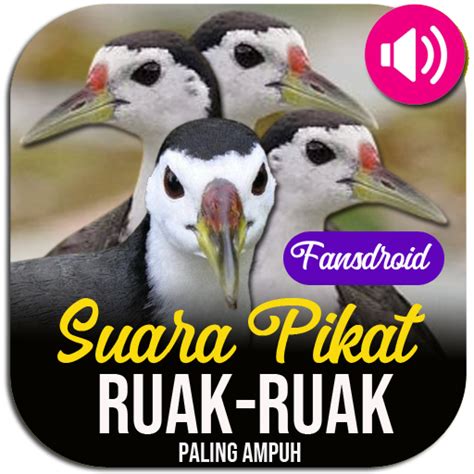 Suara Ruak Ruak Pikat Lengkap Apps On Google Play