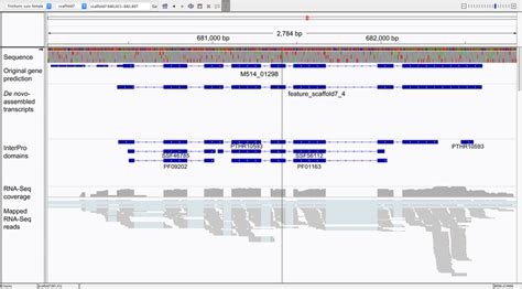 A Typical Window In The Integrative Genomics Viewer Igv Software 65 Download Scientific