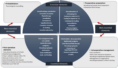 Figure 2 from Enhanced recovery after surgery (ERAS) in cytoreductive ...