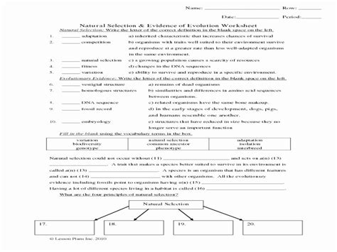 Experimental Variables Worksheet Answer Key