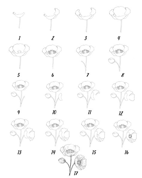 35 Easy Ways Of How To Draw A Flower