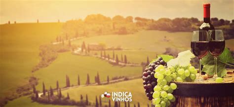 Os Vinhos Da Toscana Sabores E Tradições Da Itália 🍷 Indica Vinhos