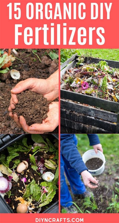 15 Organic DIY Garden Fertilizer Recipes That Ll Beautify Your Garden