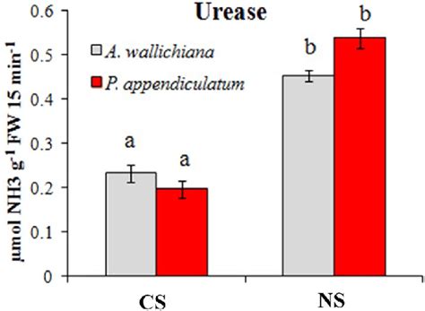 Nickel Modulates Urease Enzyme Activity A Urease Enzyme Activity