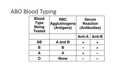 Ppt Abo Blood Typing Powerpoint Presentation Free Download Id2477772