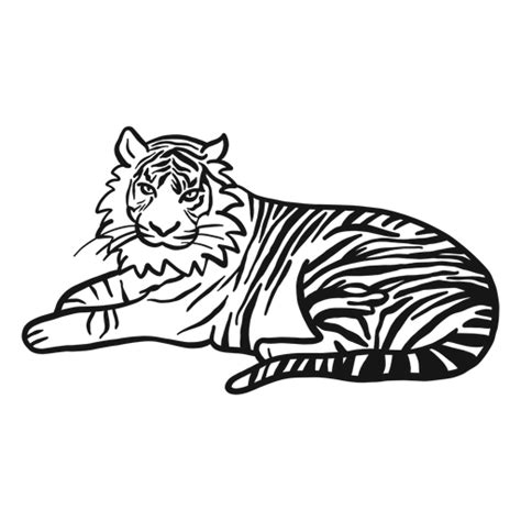 Design Png E Svg De Focinho De Tigre Listrada Orelha Cauda Rabisco