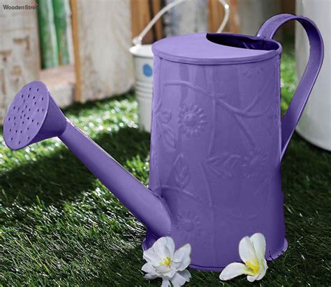 Buy Embossed Water cane (Purple) Online in India at Best Price - Modern Watering Cans - Home ...