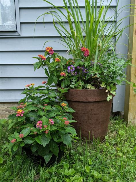 How to Spray Paint Plastic Planters in 7 Easy Steps