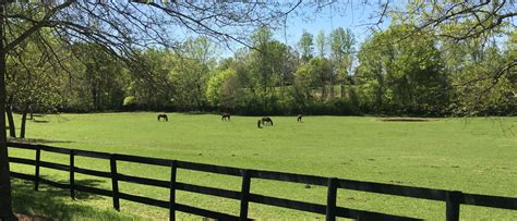 Cedarhill Farm