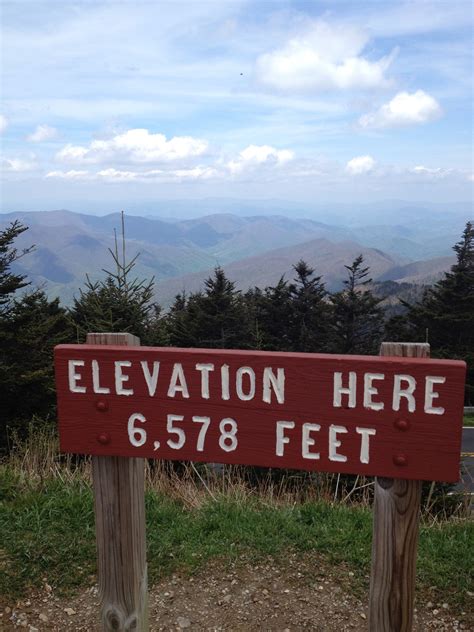 Mount Mitchell State Park Reviews updated 2026