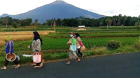 Petani Berangkat Ke Sawah Disambut Fajar Menyingsing YouTube