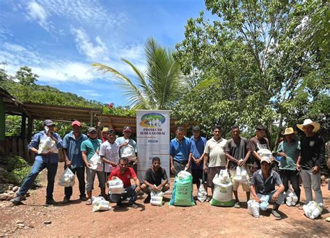 Apoyo A Las Familias Campesinas Con Semillas De Cereales Fertilizantes