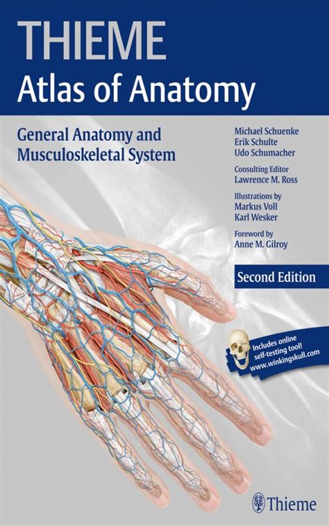 General Anatomy And Musculoskeletal System Thieme Atlas Of Anatomy