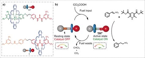 Supramolecular Dissipative Self‐assembly Systems Approaches And