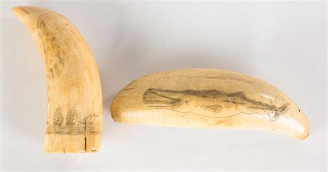 Two 19th Century Scrimshaw Whales Teeth | Cottone Auctions