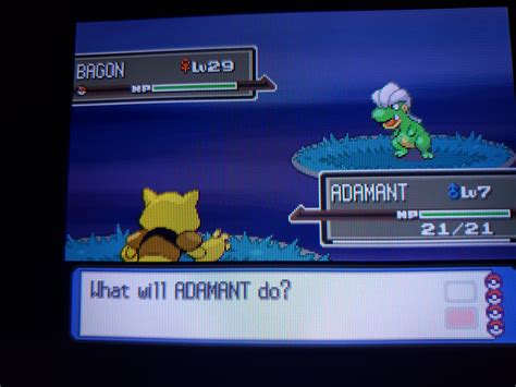 [GEN 4] Shiny Bagon found from the pokeradar in Platinum! 😁 : r ...