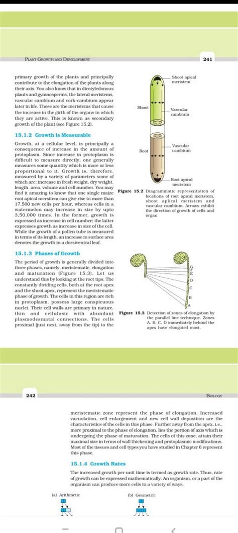 Plant Growth And Development Primary Growth Of The Plants And Principally