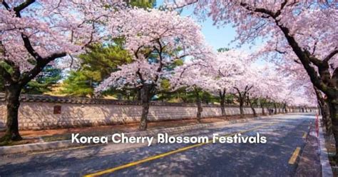 Korea Cherry Blossom Festival 2022 - IVisitKorea