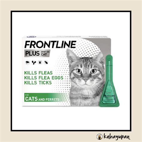 Frontline Plus Anti Tick and Flea Spot Treatment for Cats – kahayupan PH