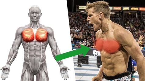 11 Incredible Benefits Of Dumbbell Chest Flyes Boxrox