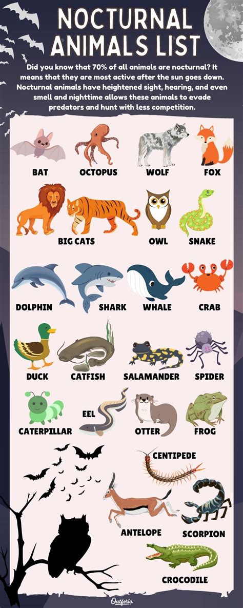 Top 110 Nocturnal Animals Explained