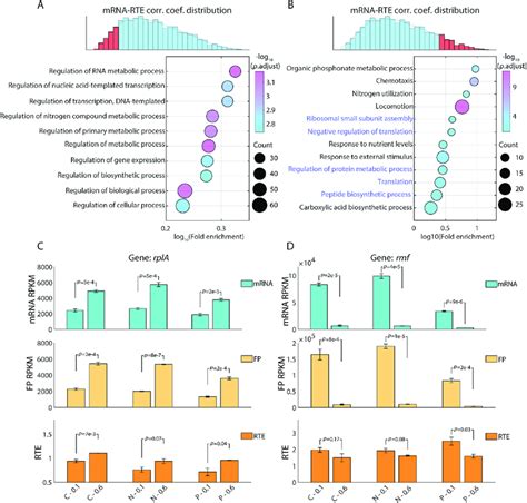 The Correlation Between Mrna Level And Rte Is Related To Specific Gene