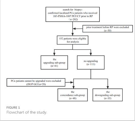 Figure 1 From The Prognostic Value Of 18F PSMA 1007 PET CT In