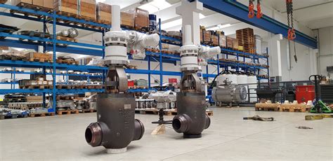 Pressure Seal Globe Valve Fg Valvole