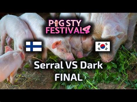 HIT Serral VS Dark FINAL PIG Sty Festival 4 Polski Komentarz YouTube