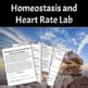 Homeostasis Heart Rate Lab Max Heart Rate And Exercise Health